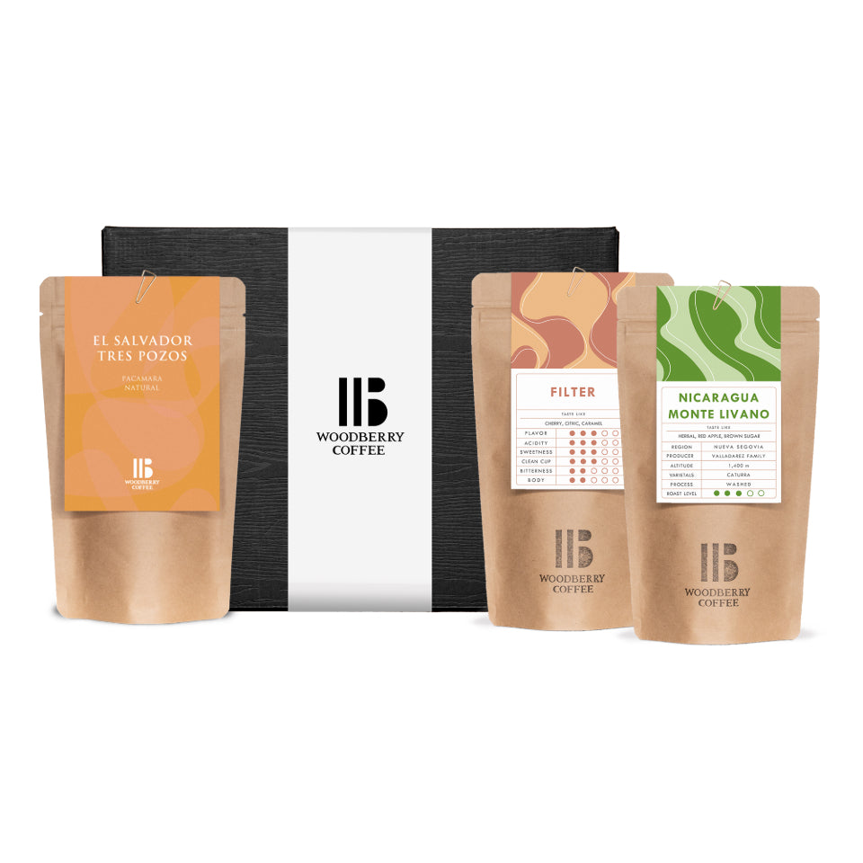 コーヒー豆 ギフトボックス デラックス (浅煎り150 g × 3種類)