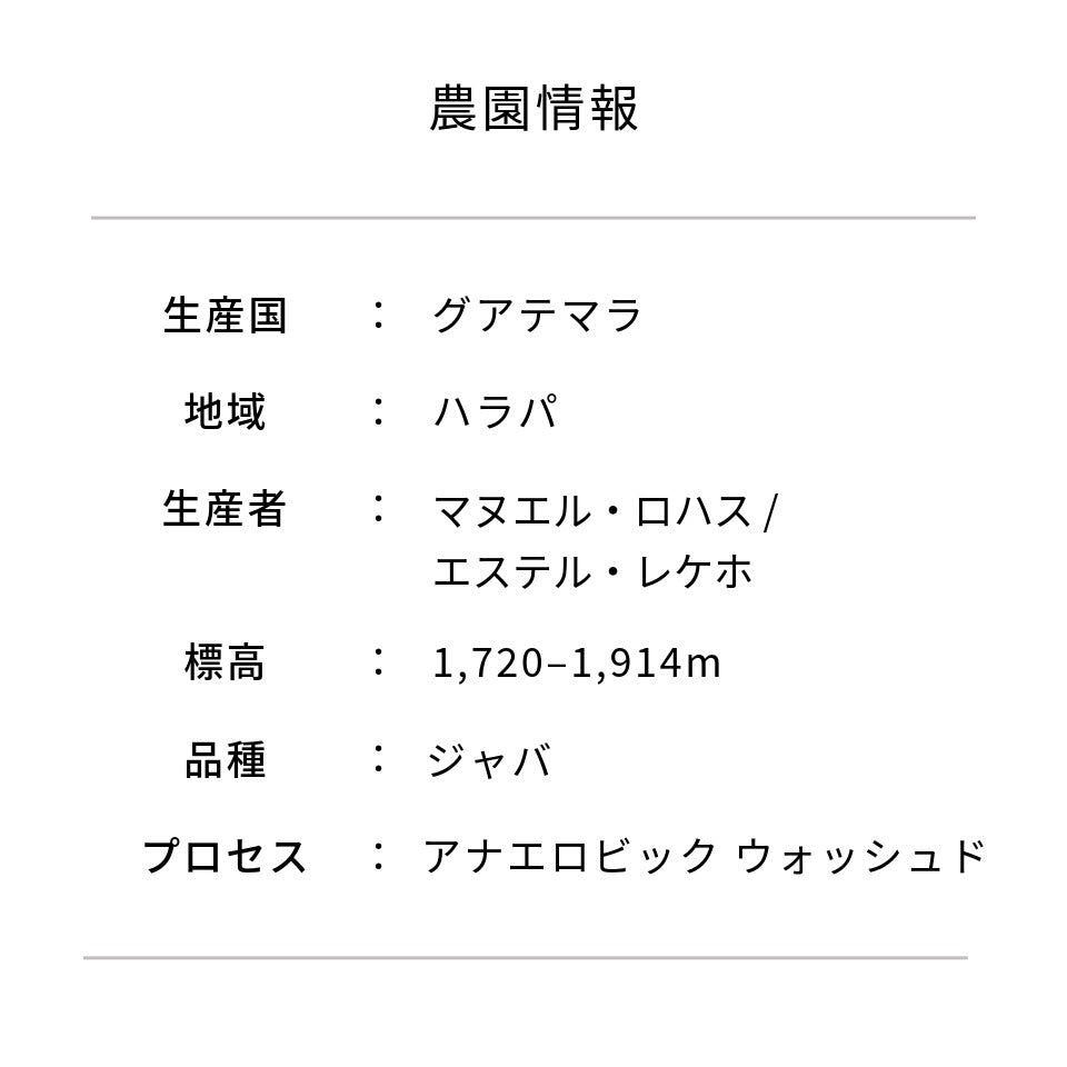 ペルー ミラフローレス農園 ジャバ アナエロビック ウォッシュド