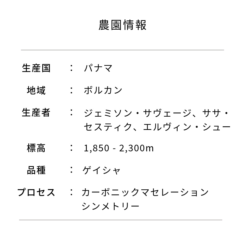 パナマ アイリス農園 ゲイシャ シンメトリー