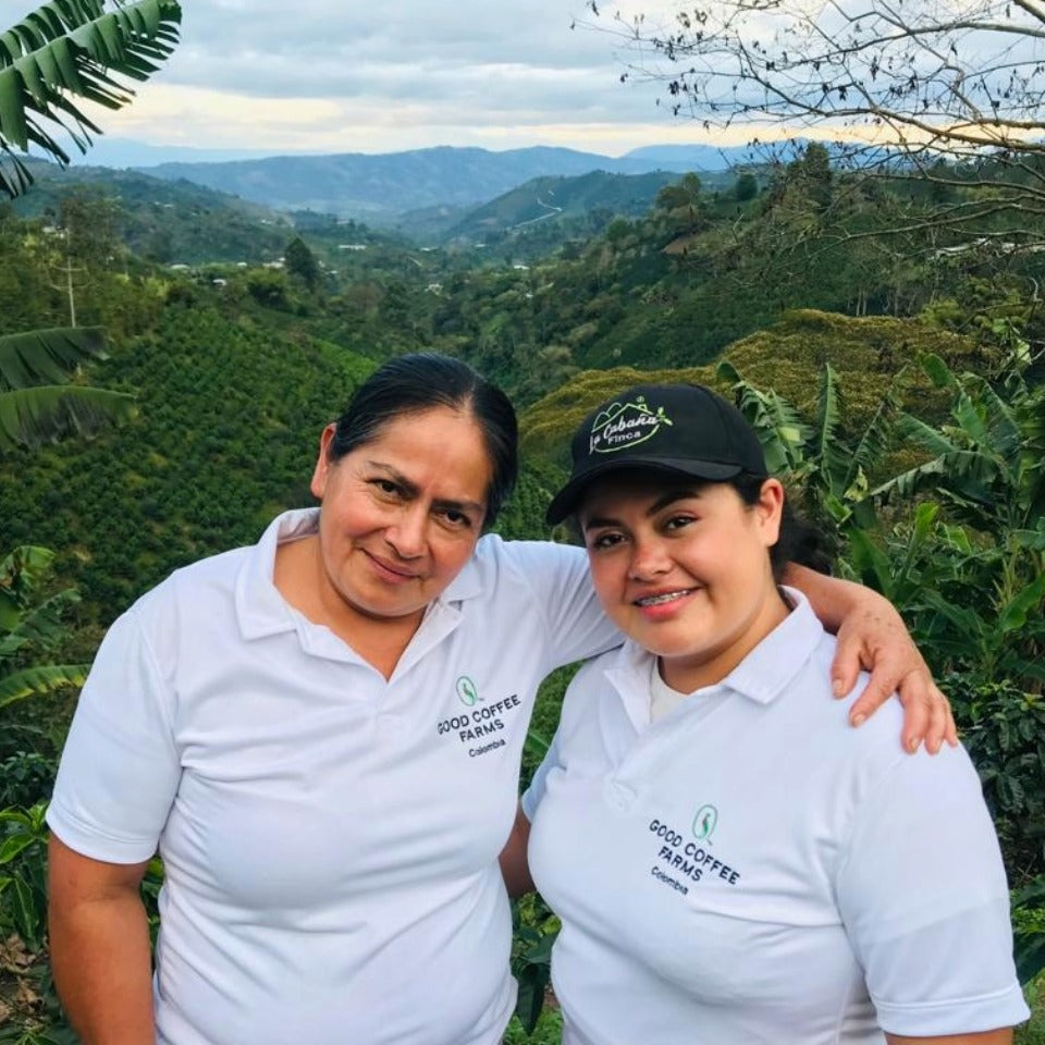 コロンビア ラ・カバーニャ農園 ピンクブルボン