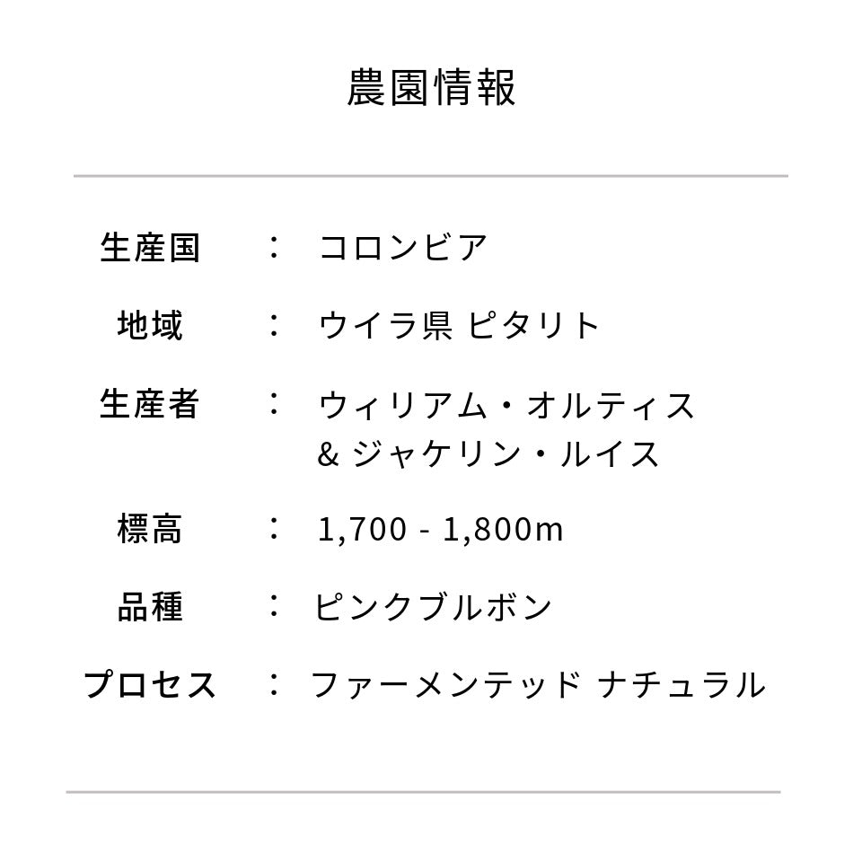 コロンビア ラ・カバーニャ農園 ピンクブルボン