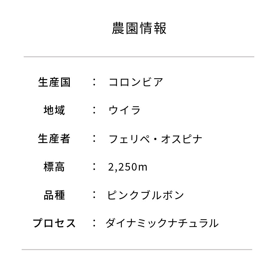 コロンビア ラ・ナチュラ農園 ピンクブルボン ダイナミックナチュラル