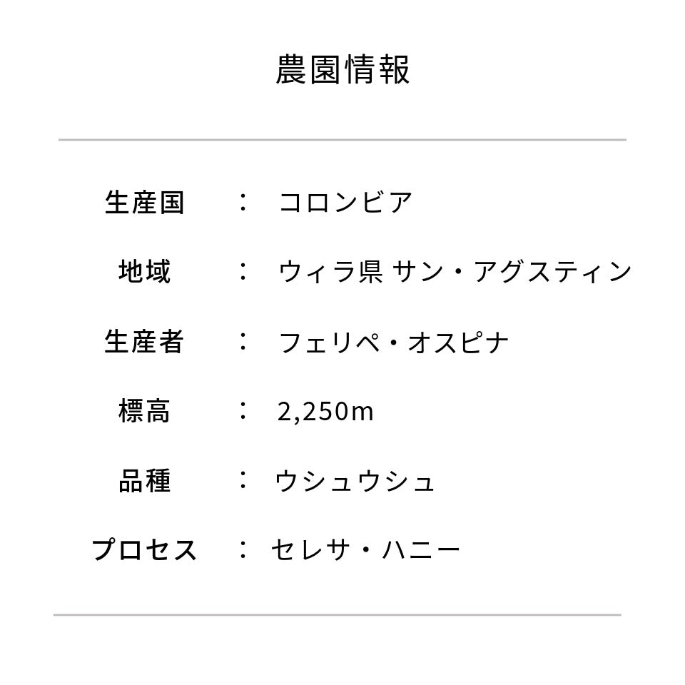 コロンビア ラ・ナチュラ農園 ウシュウシュ セレサ・ハニー