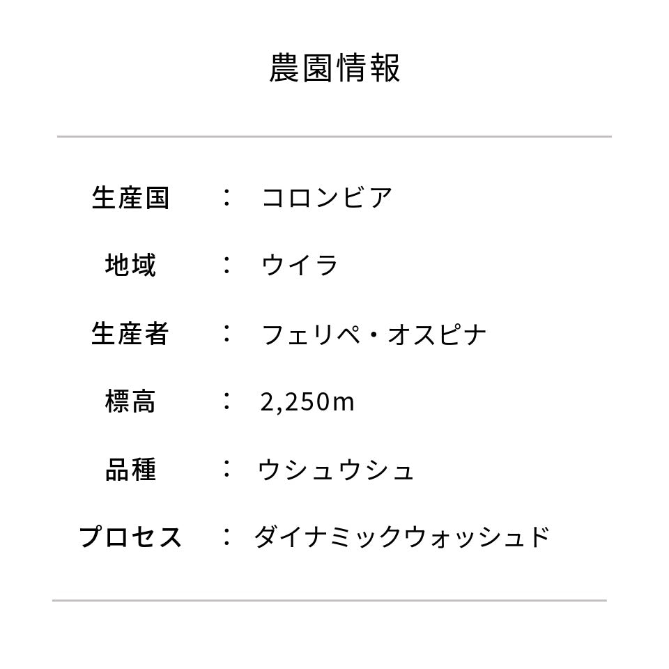 コロンビア ラ・ナチュラ農園 ウシュウシュ ダイナミックウォッシュド