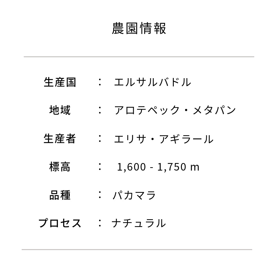 エルサルバドル ラス・ヴェンタナス農園 パカマラ