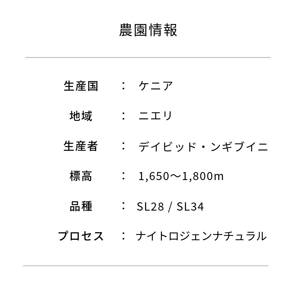 ケニア マグタ・エステート インディゴ ロット L1