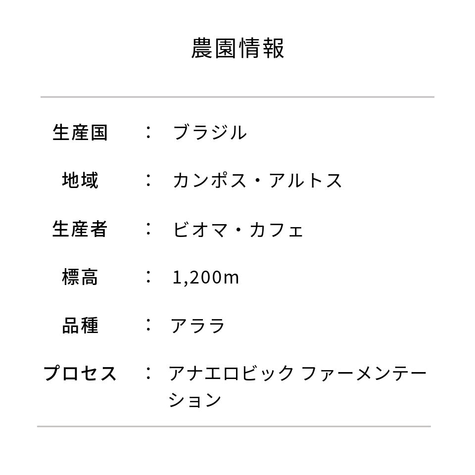 ブラジル M&F COFFEE アララ アナエロビック ナチュラル