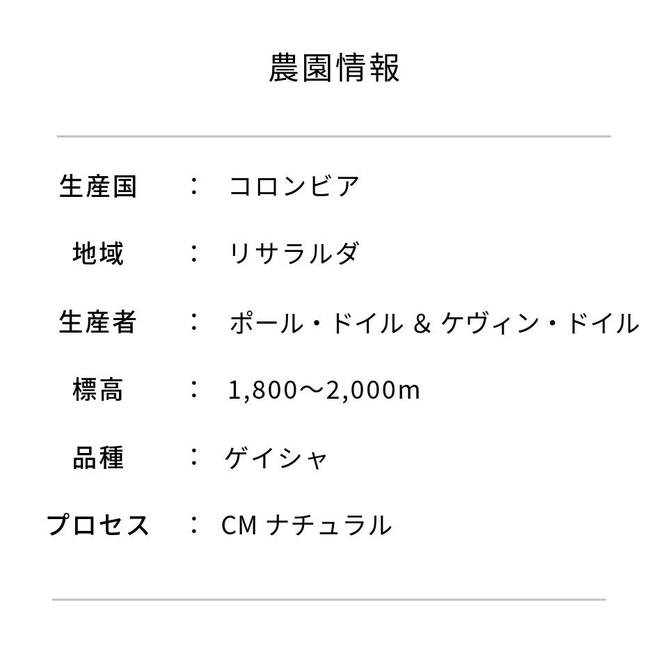 コロンビア ミカヴァサンチュアリオ農園 ゲイシャ CMナチュラル