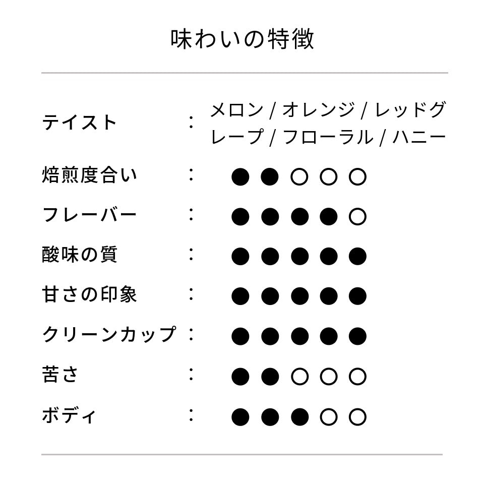 コロンビア ミカヴァサンチュアリオ農園 ゲイシャ CMナチュラル