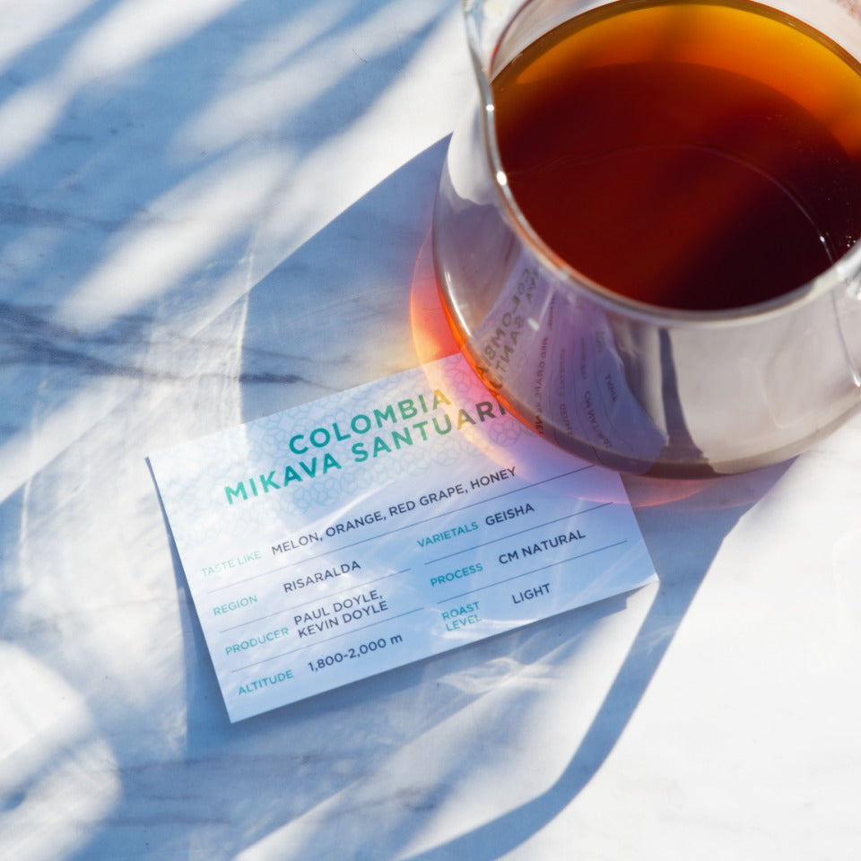 コロンビア ミカヴァサンチュアリオ農園 ゲイシャ CMナチュラル