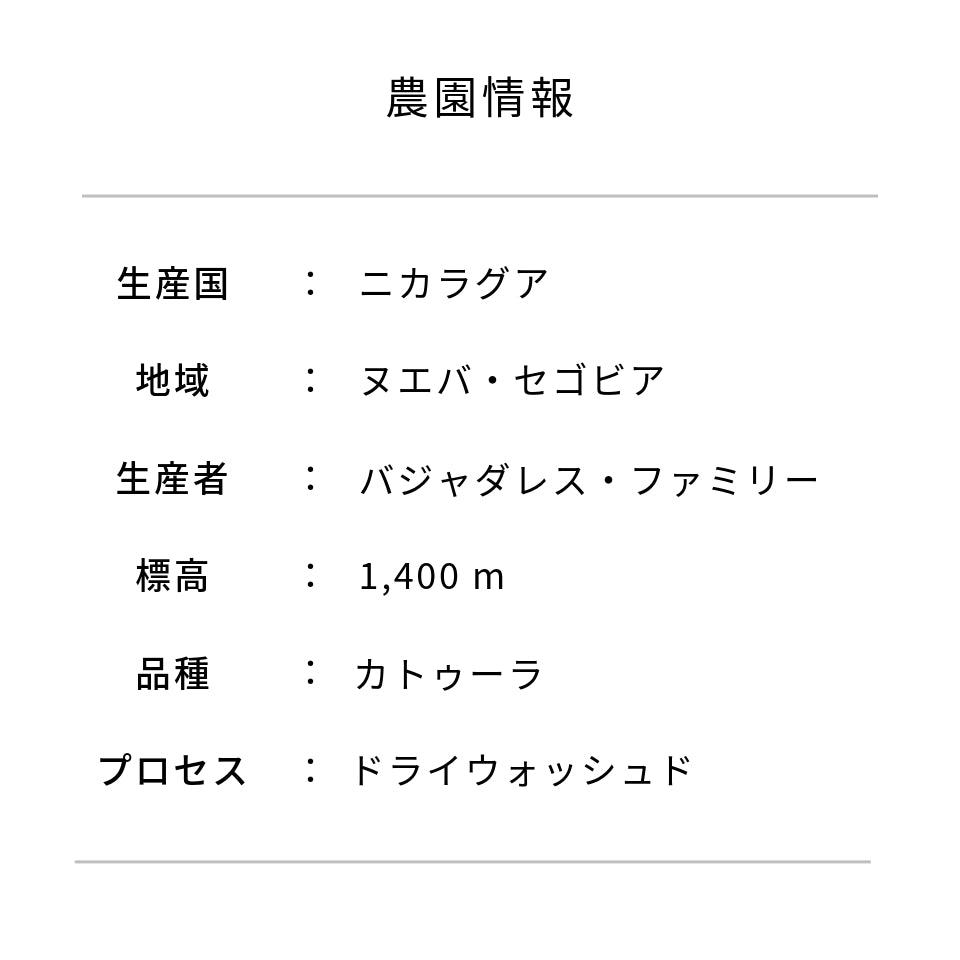 ニカラグア モンテ・リヴァノ農園 カトゥーラ