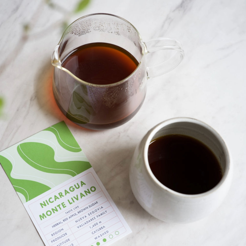ニカラグア モンテ・リヴァノ農園 カトゥーラ