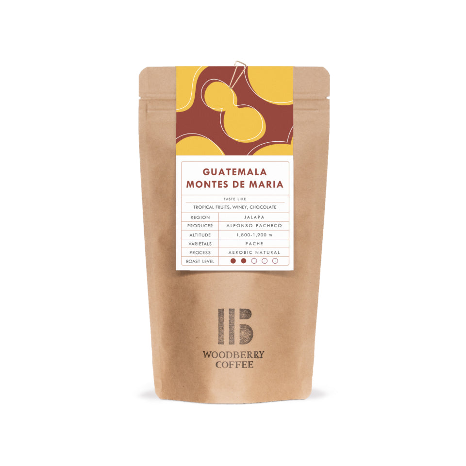 グアテマラ モンテス・デ・マリア農園 パチェ