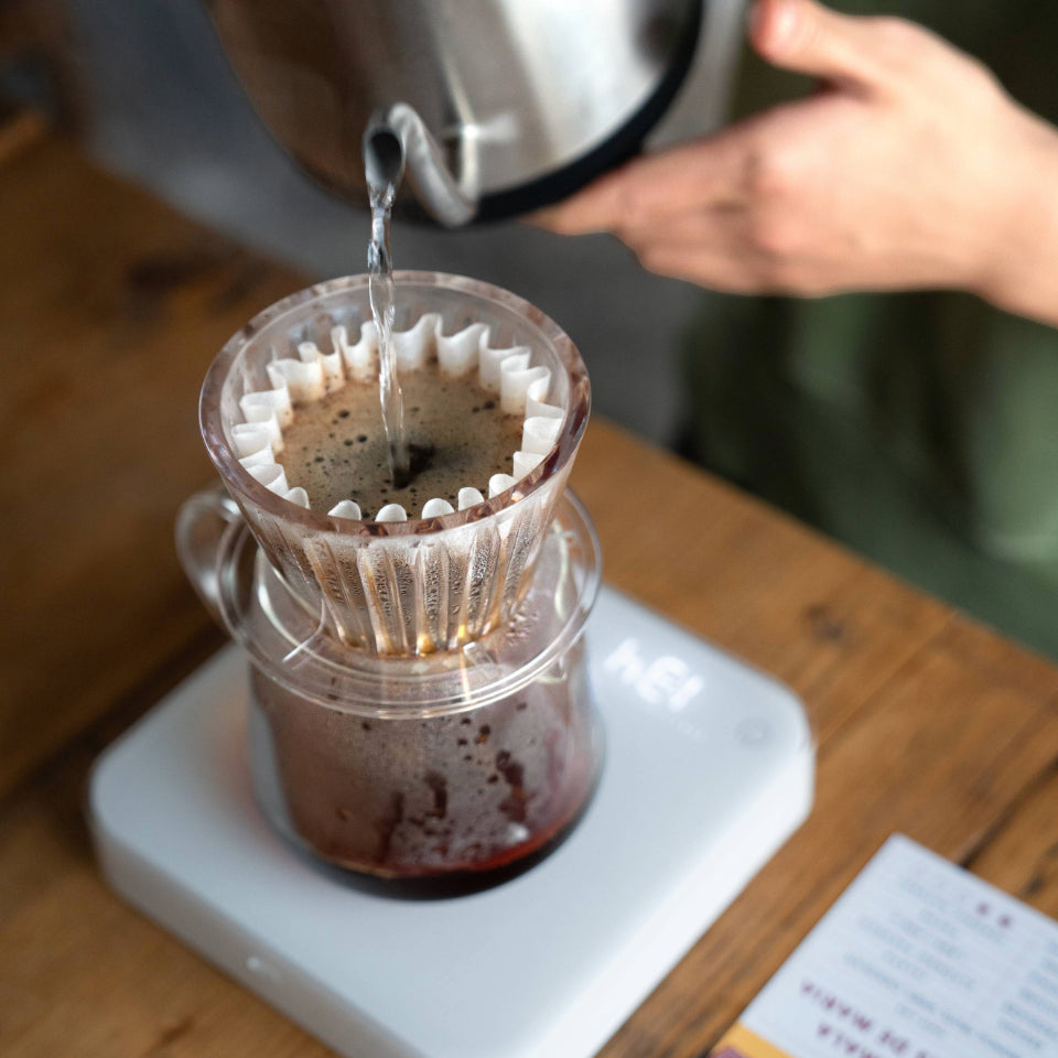 グアテマラ モンテス・デ・マリア農園 パチェ