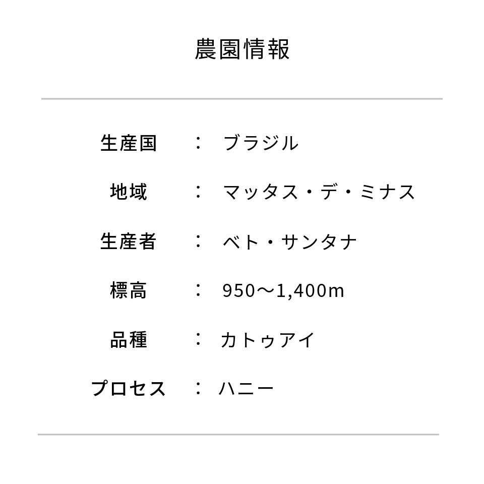ブラジル ペドラ・レドンダ農園 カツアイ ハニー