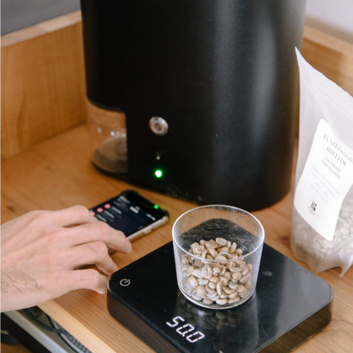 エルサルバドル トレス・ポソス農園 ゲイシャ ナチュラル - 生豆