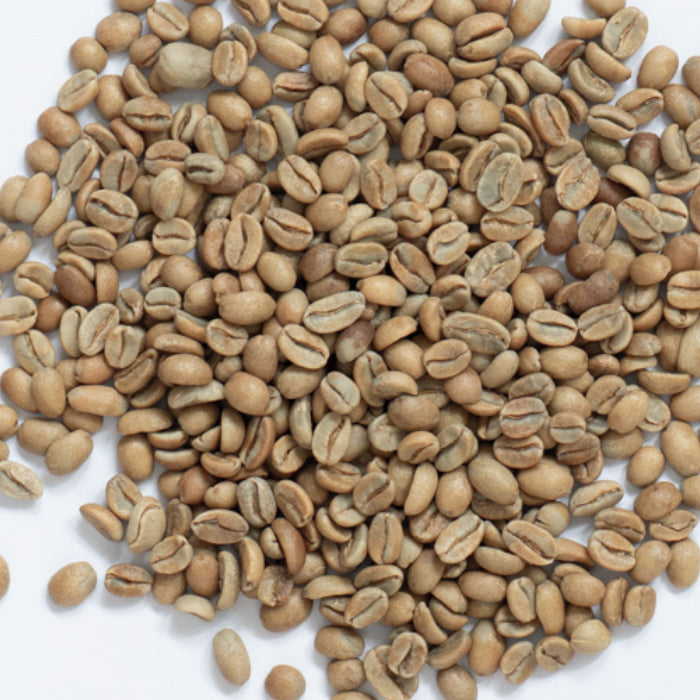 エルサルバドル トレス・ポソス農園 ゲイシャ ナチュラル - 生豆