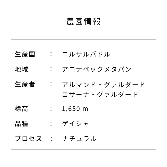 エルサルバドル トレス・ポソス農園 ゲイシャ ナチュラル - 生豆