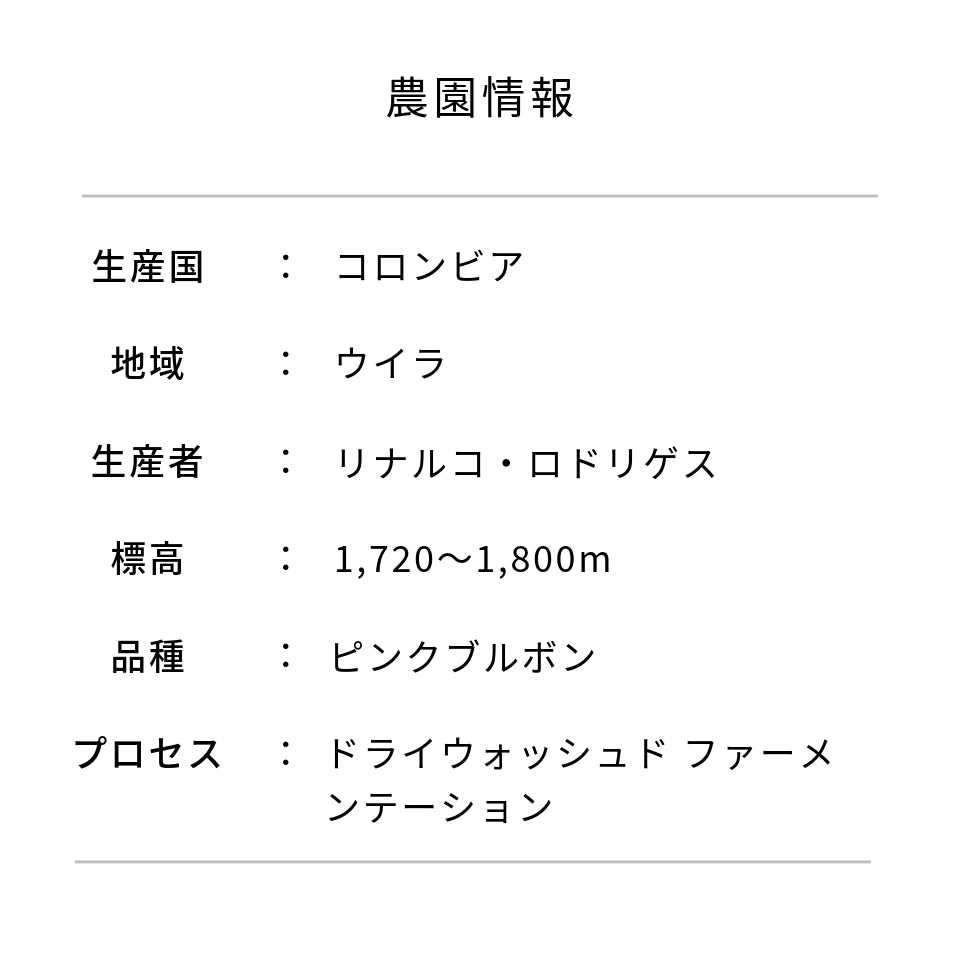 コロンビア サン・ガブリエル農園 ピンクブルボン