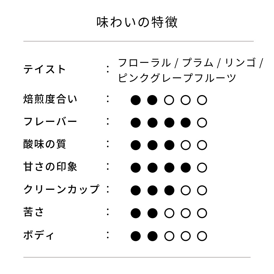 コロンビア サン・ガブリエル農園 ピンクブルボン