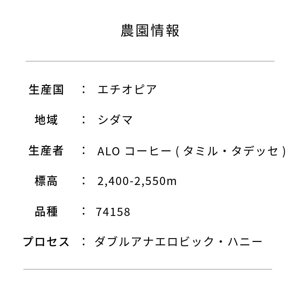 エチオピア タミル タデッセ ダブルアナエロビックハニー TOMODACHI