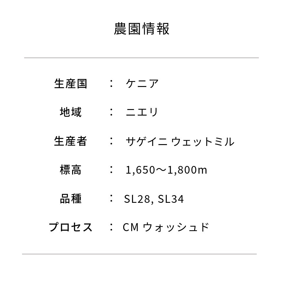 ケニア サゲイニ CMウォッシュド