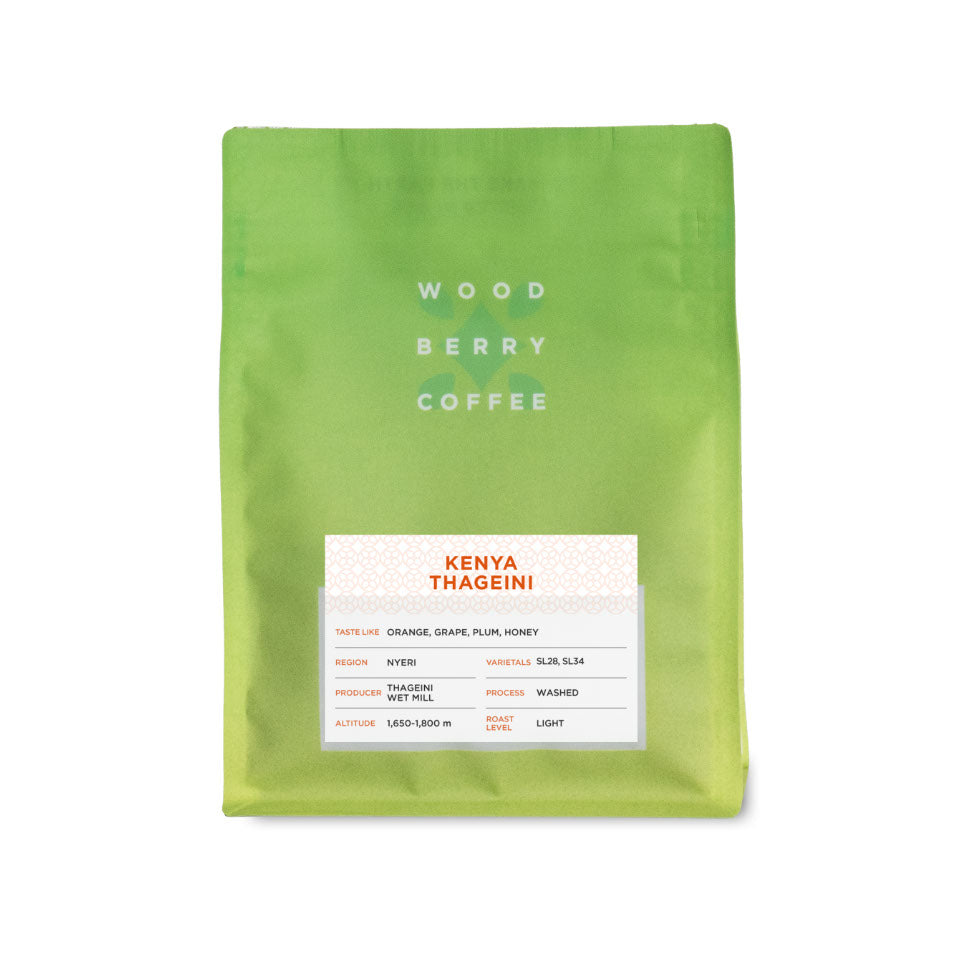 ケニア サゲイニ