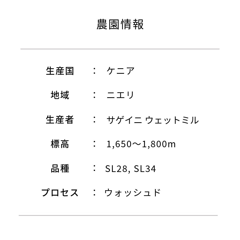 ケニア サゲイニ