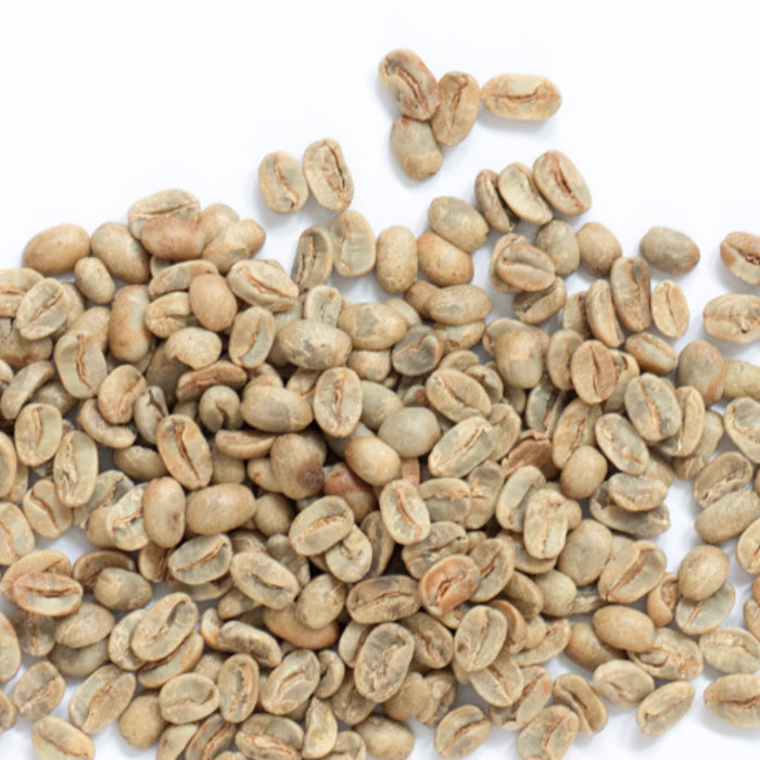 エルサルバドル ラス・ヴェンタナス農園 パカマラ ナチュラル - 生豆