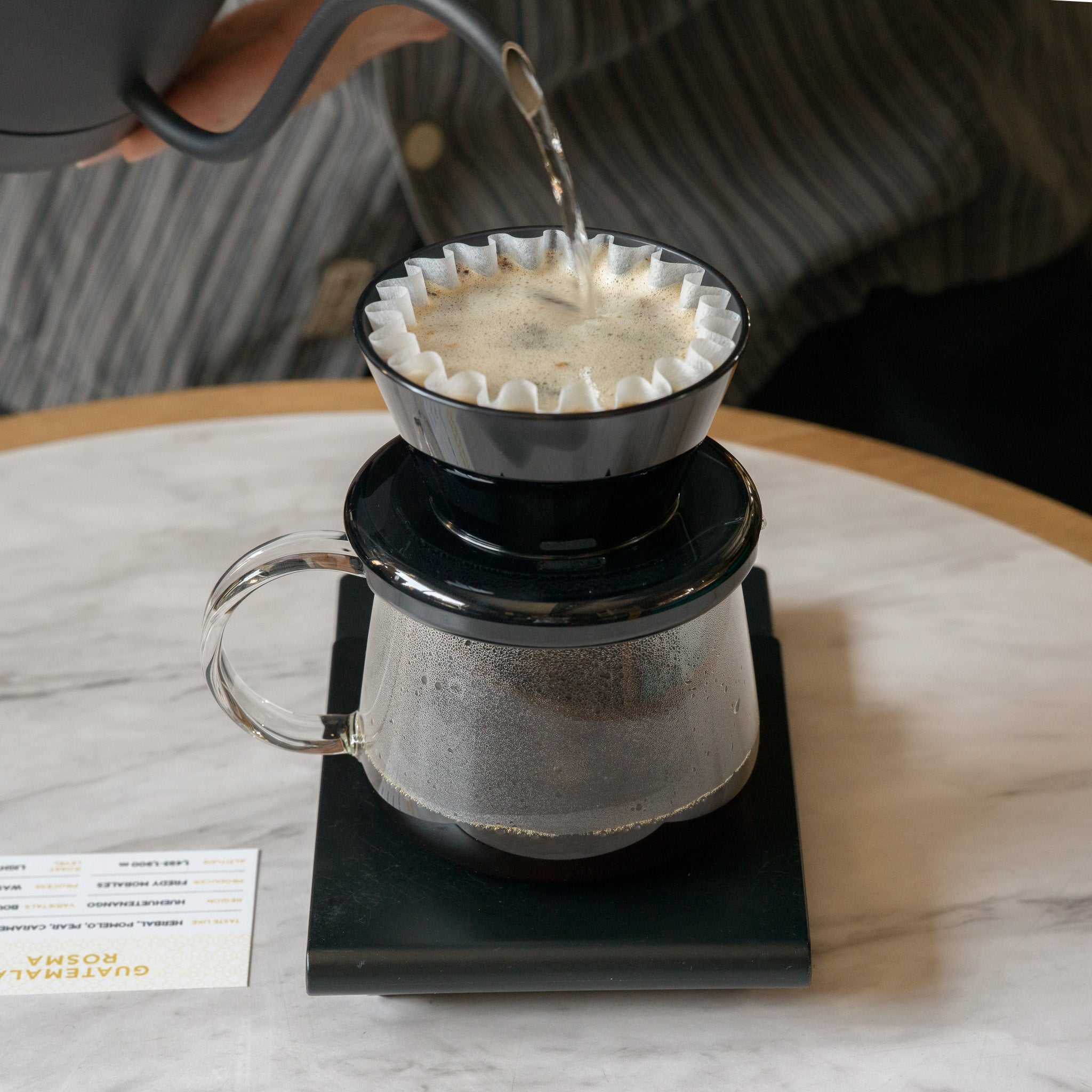 HARIO V60 - TANZANIA ACACIA HILLS GEISHA
