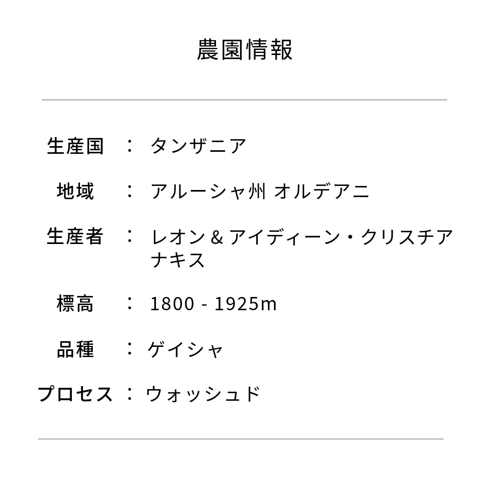 タンザニア アカシアヒルズ農園  ゲイシャ