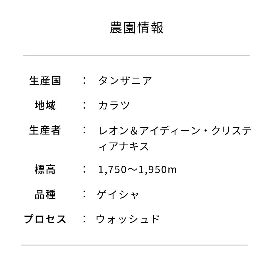 タンザニア アカシアヒルズ農園  ゲイシャ ウォッシュド