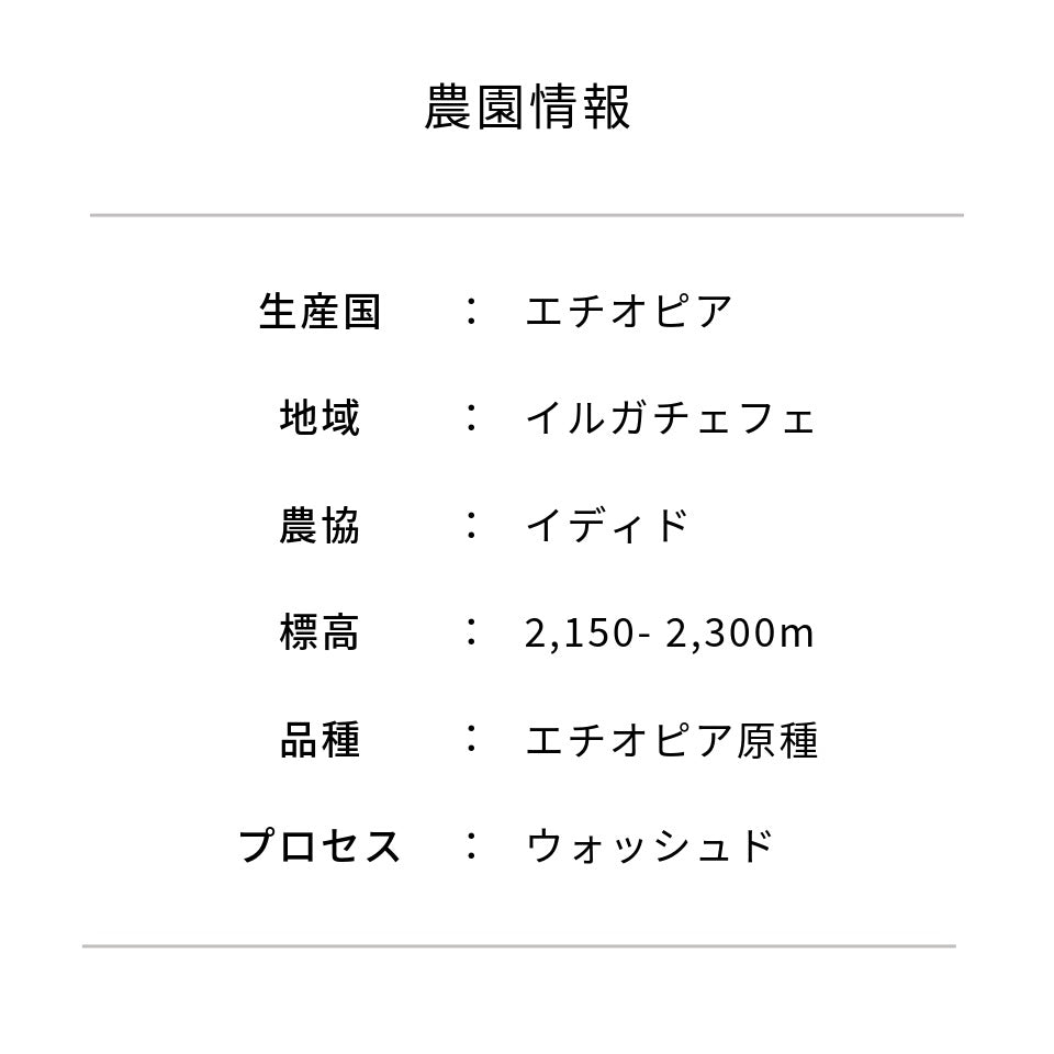 水出しコーヒーパック 「エチオピア タデ農園」 45g × 5パック