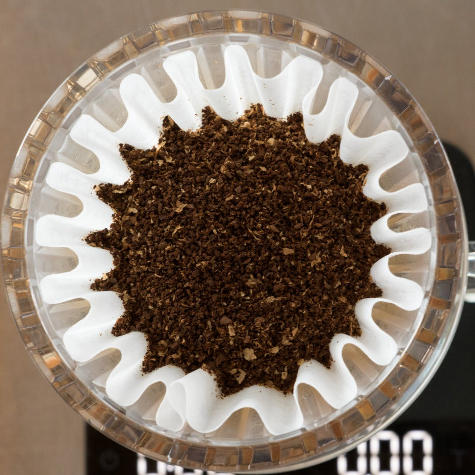 グアテマラ フロレンシア農園 ブルボン ウォッシュド