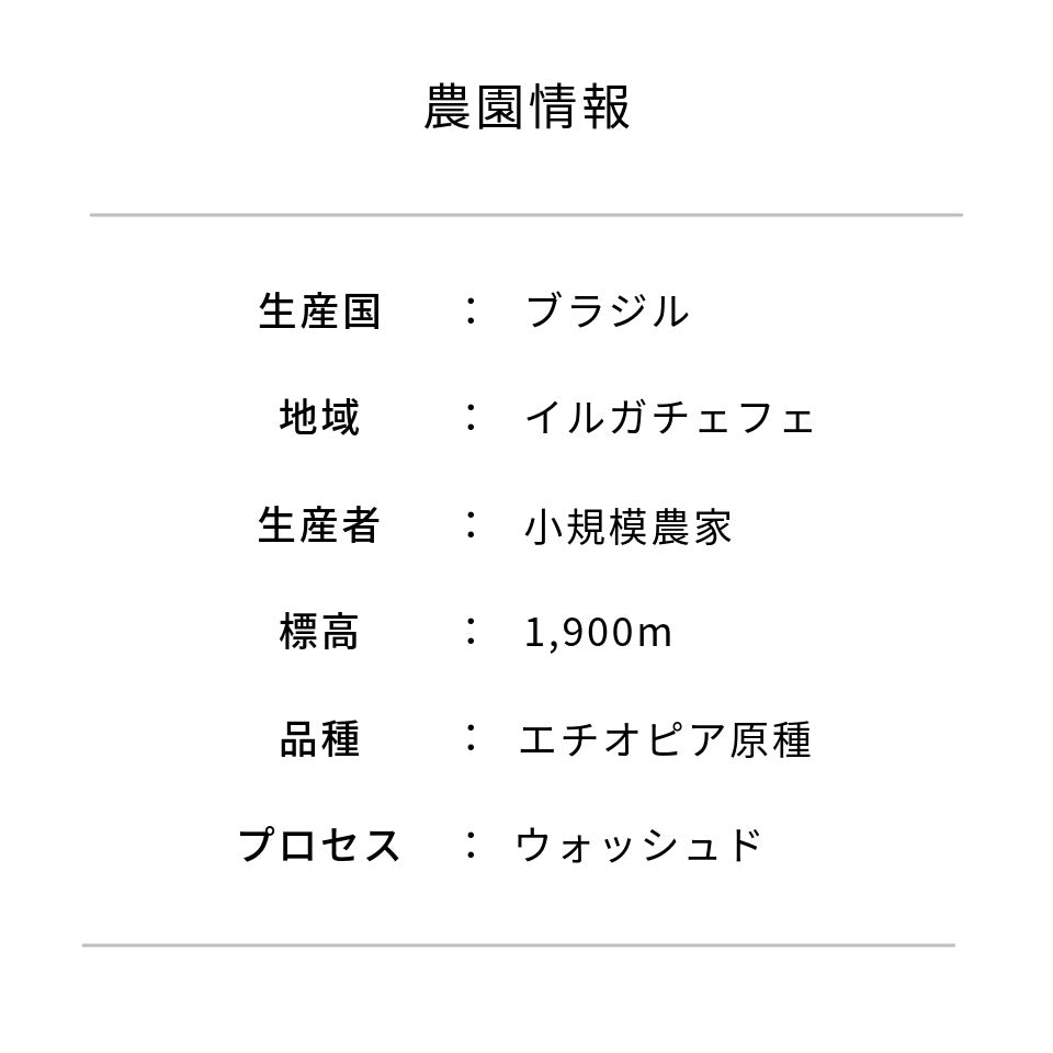 エチオピア ガルガリ・グティティ