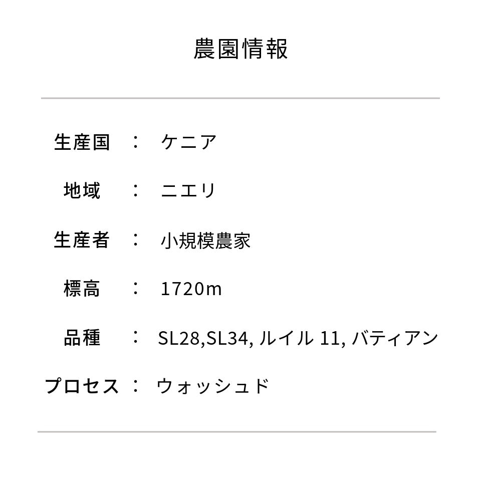 ケニア ガタイティ