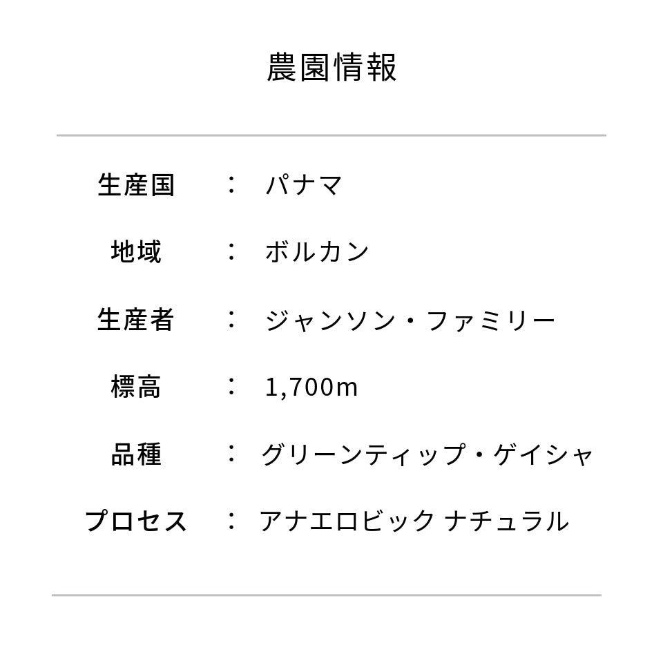 パナマ ジャンソン農園 ゲイシャ アナエロビック ナチュラル