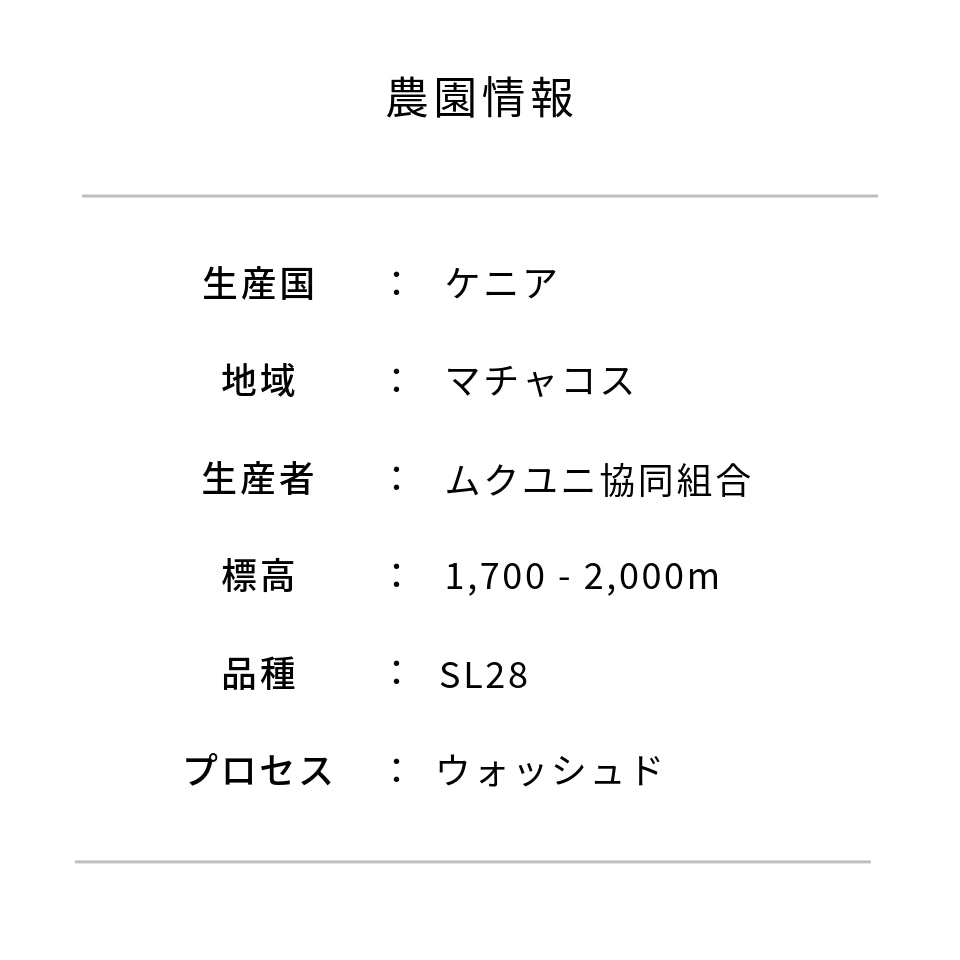 ケニア ムクユニ SL28