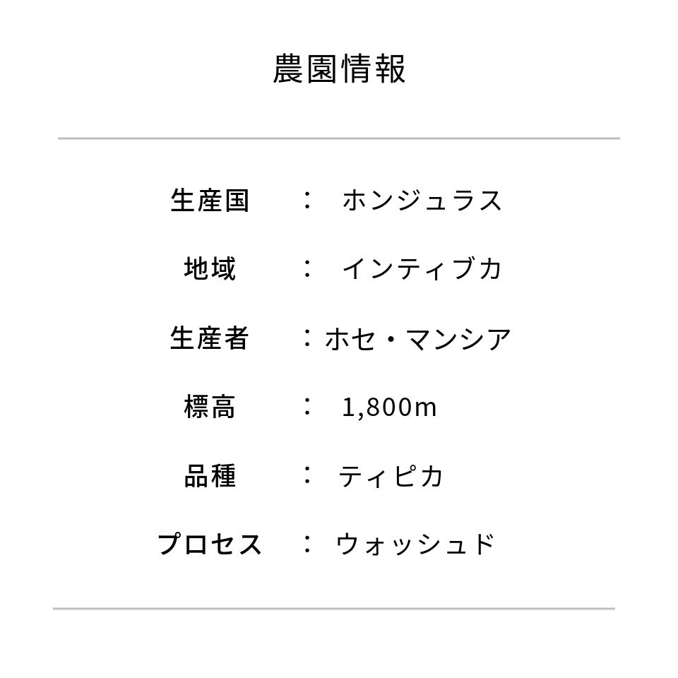 ホンジュラス ラ・ラハ農園 ティピカ ウォッシュド