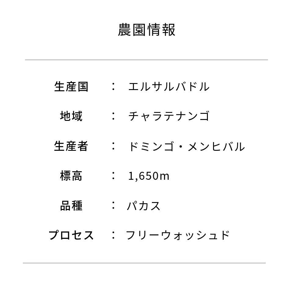 エルサルバドル モンタニータ農園 パカス