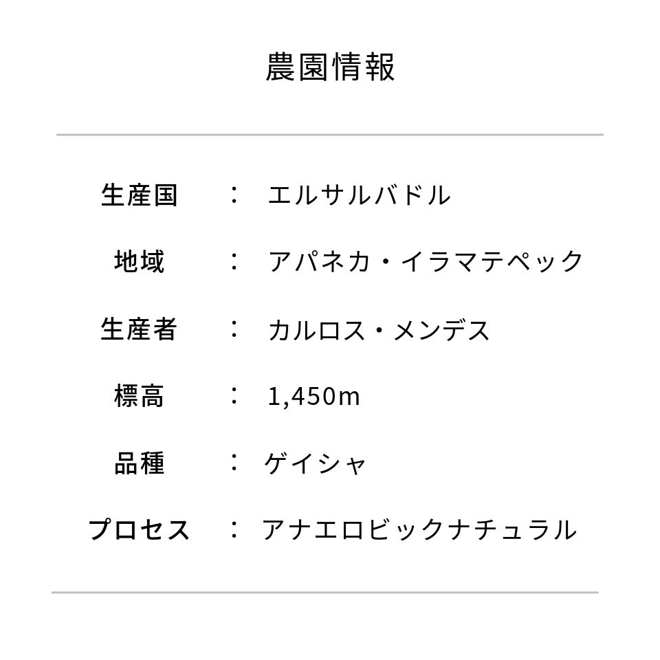 エルサルバドル ロス・トレス・ポトロス農園 ゲイシャ アナエロビックナチュラル