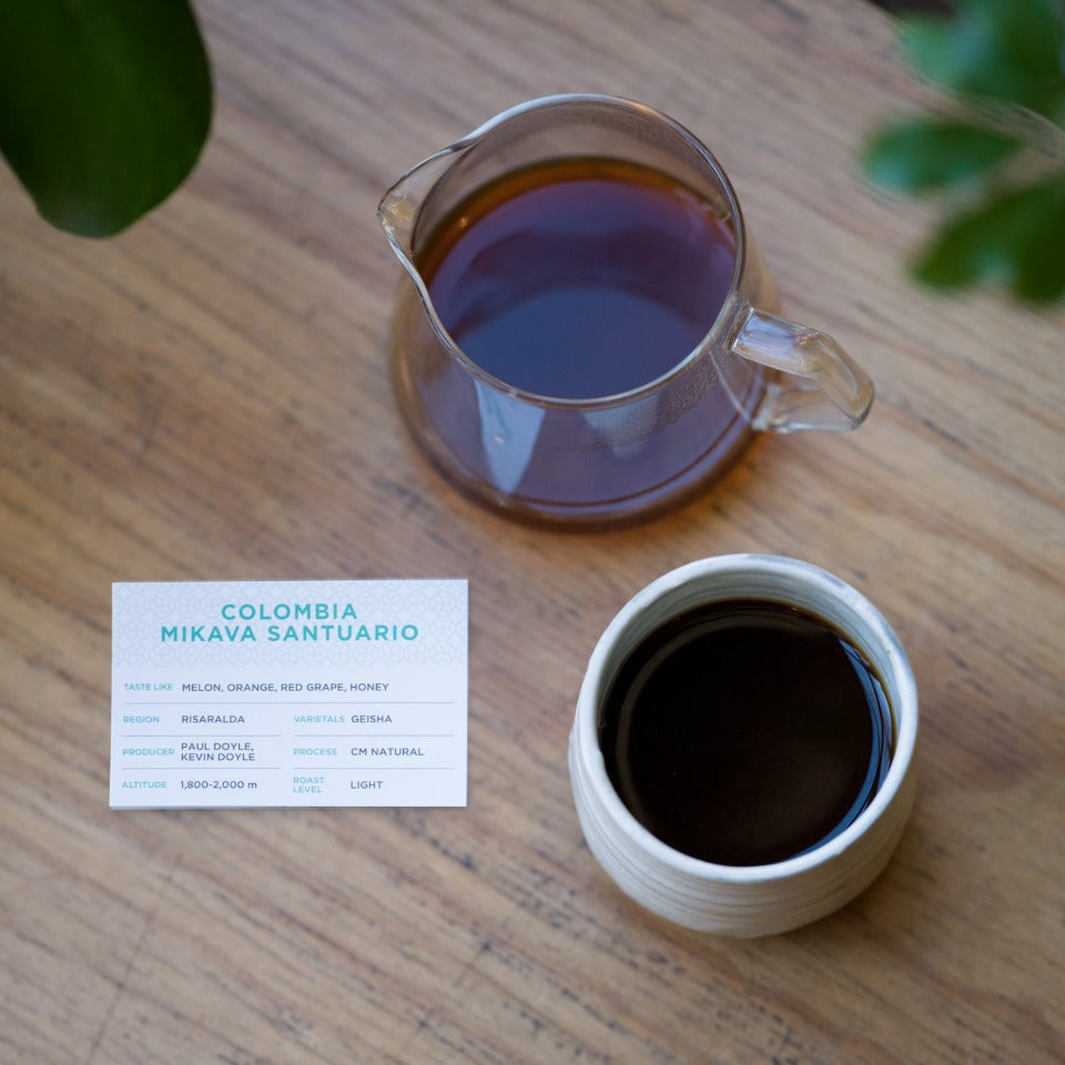 コロンビア ミカヴァサンチュアリオ農園 ゲイシャ CMナチュラル
