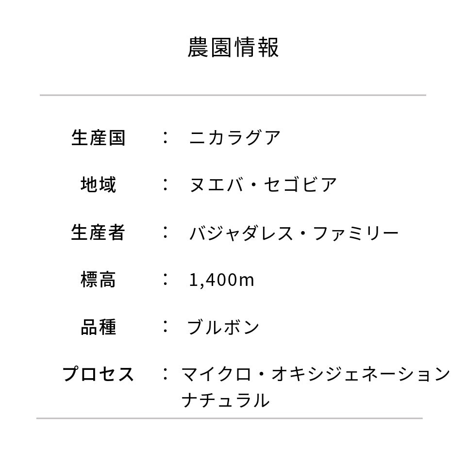ニカラグア モンテリヴァノ農園 ブルボン マイクロ・オキシジェネーション ナチュラル