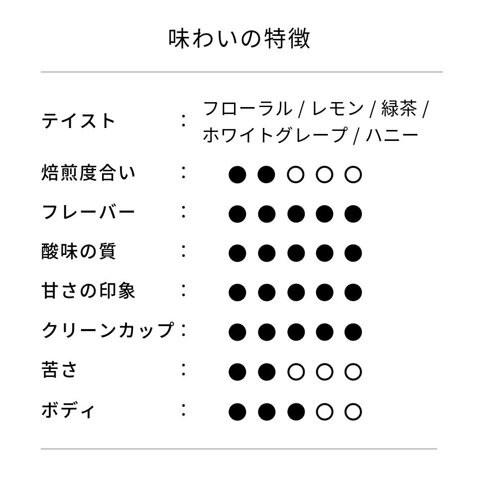 エクアドル プトゥシオ農園 ティピカ・メホラード ウォッシュド