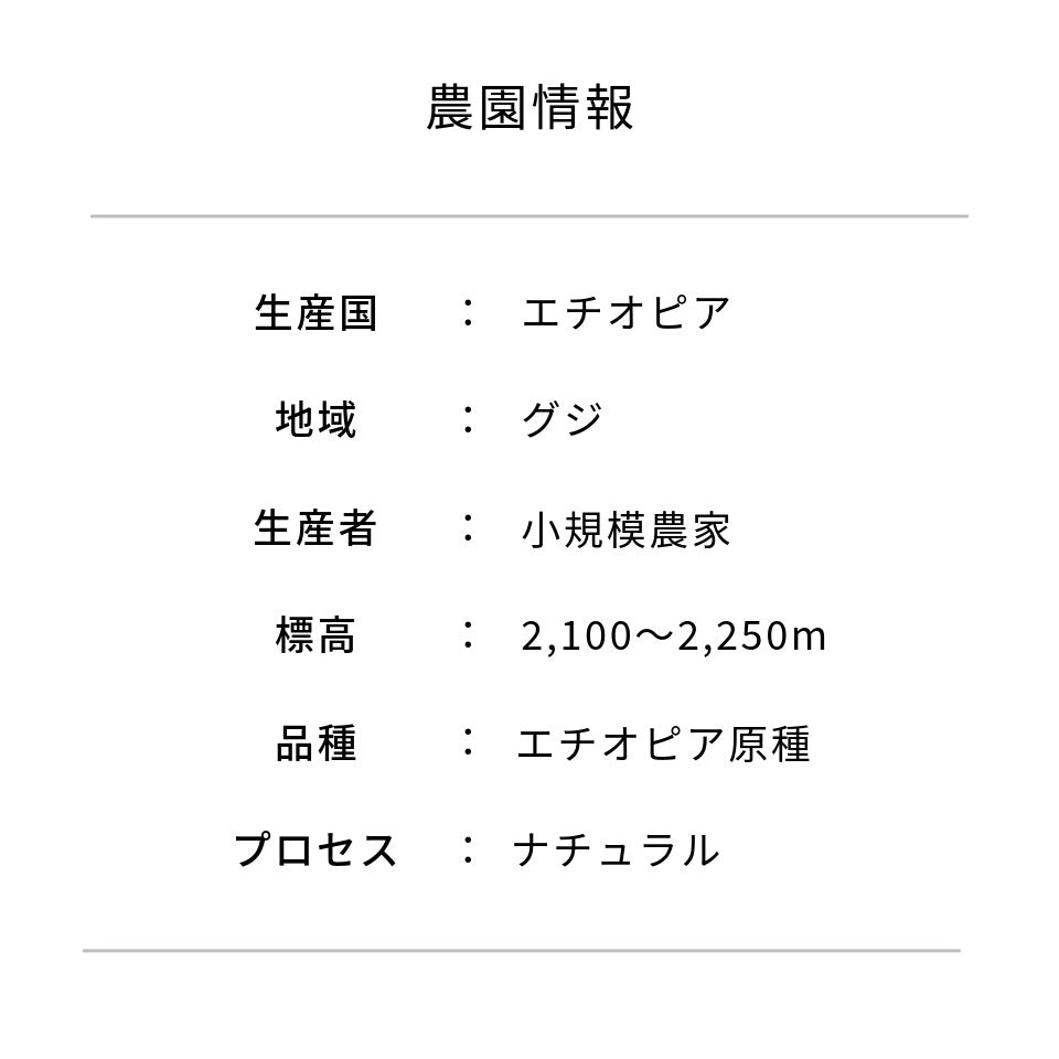 エチオピア シコ