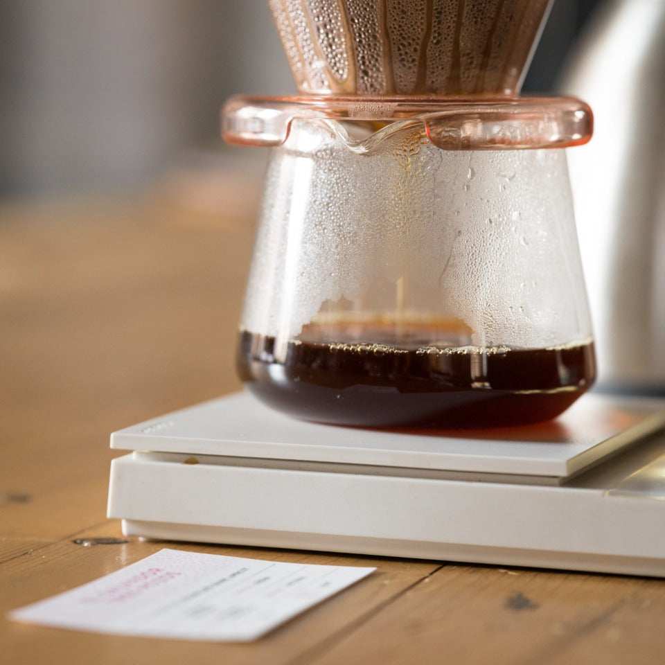 エルサルバドル トレス・ポソス農園 ゲイシャ ナチュラル