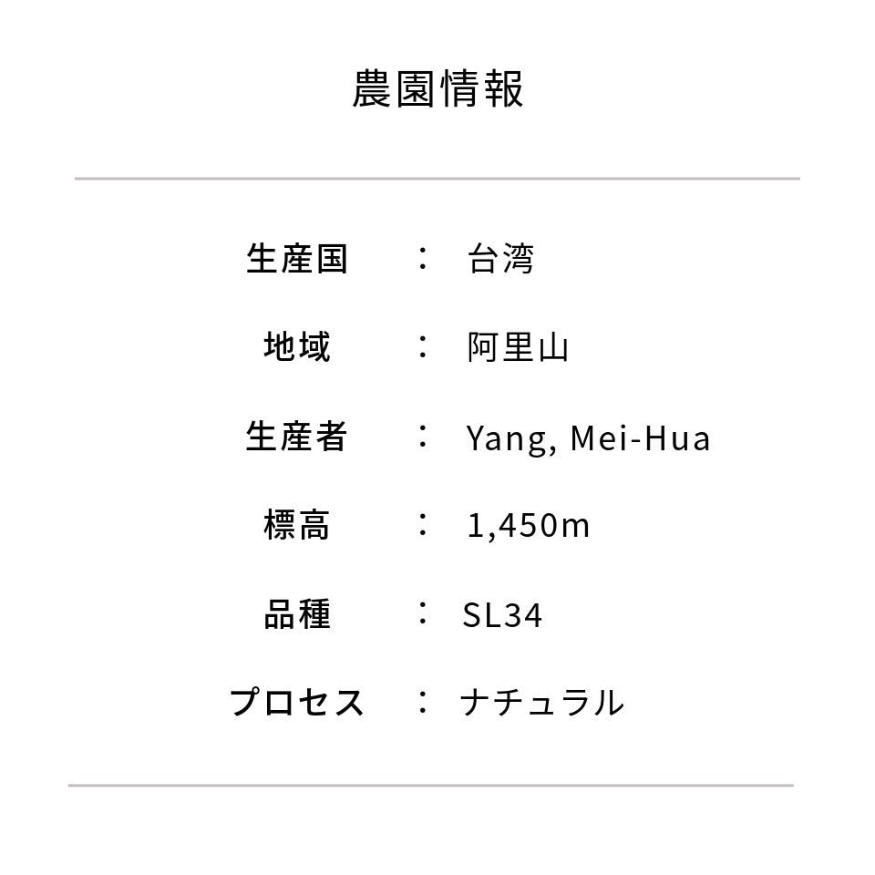 台湾 ウェイシュ農園 SL34 ナチュラル（COE2025 #25）