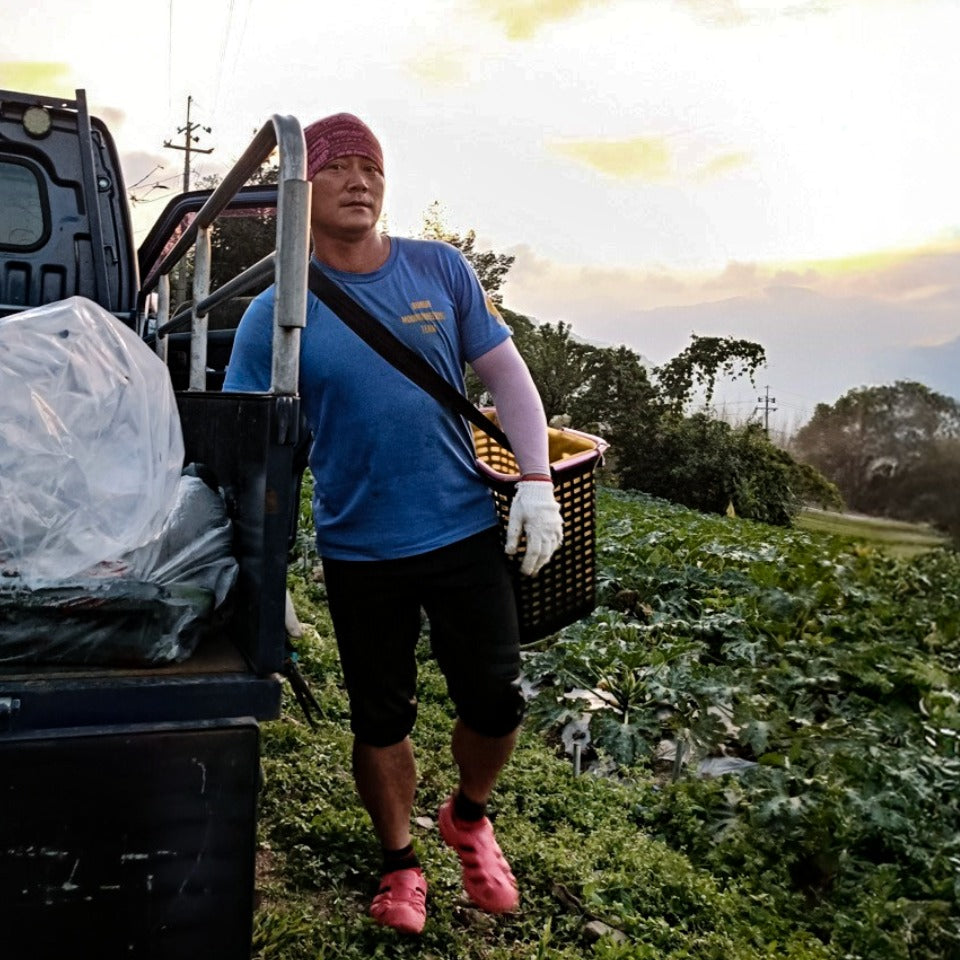 台湾 ウェイシュ農園 SL34 ナチュラル（COE2025 #25）